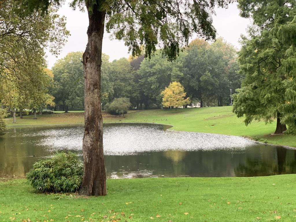 Moebliertes Wohnung Am Geroweiher Moenchengladbach Bagian luar foto